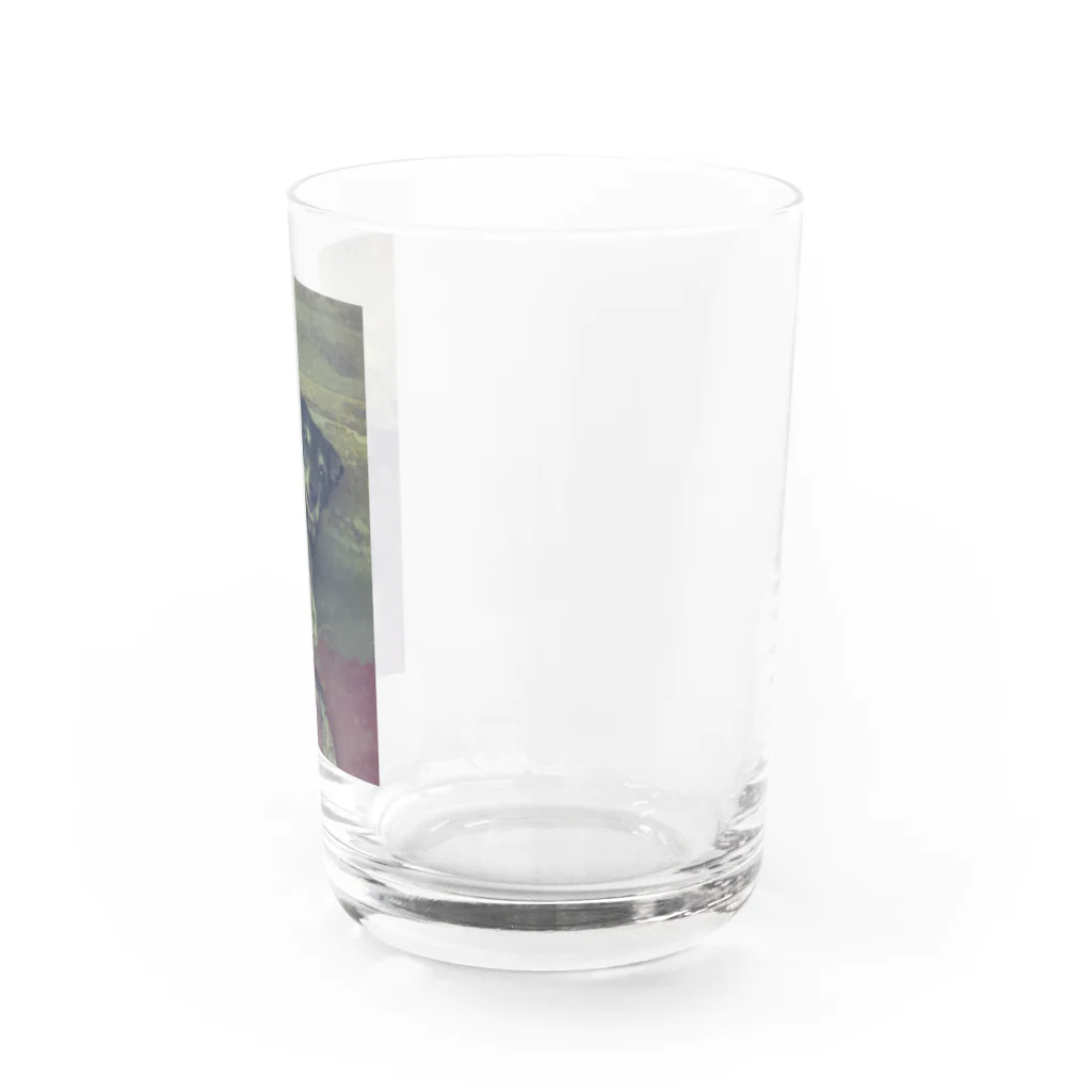 Robin_Hiroshimaのリスボンのワンコさん Water Glass :right