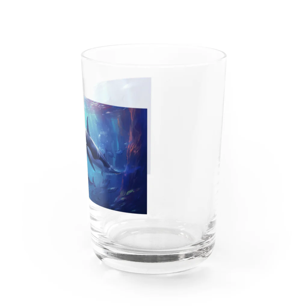 soeluのシャチと深海 Water Glass :right