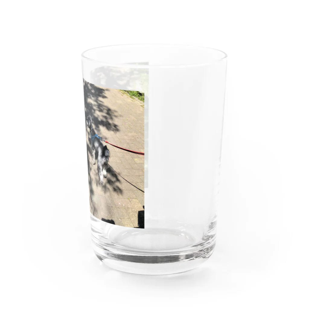 愛犬のグッズの春 Water Glass :right