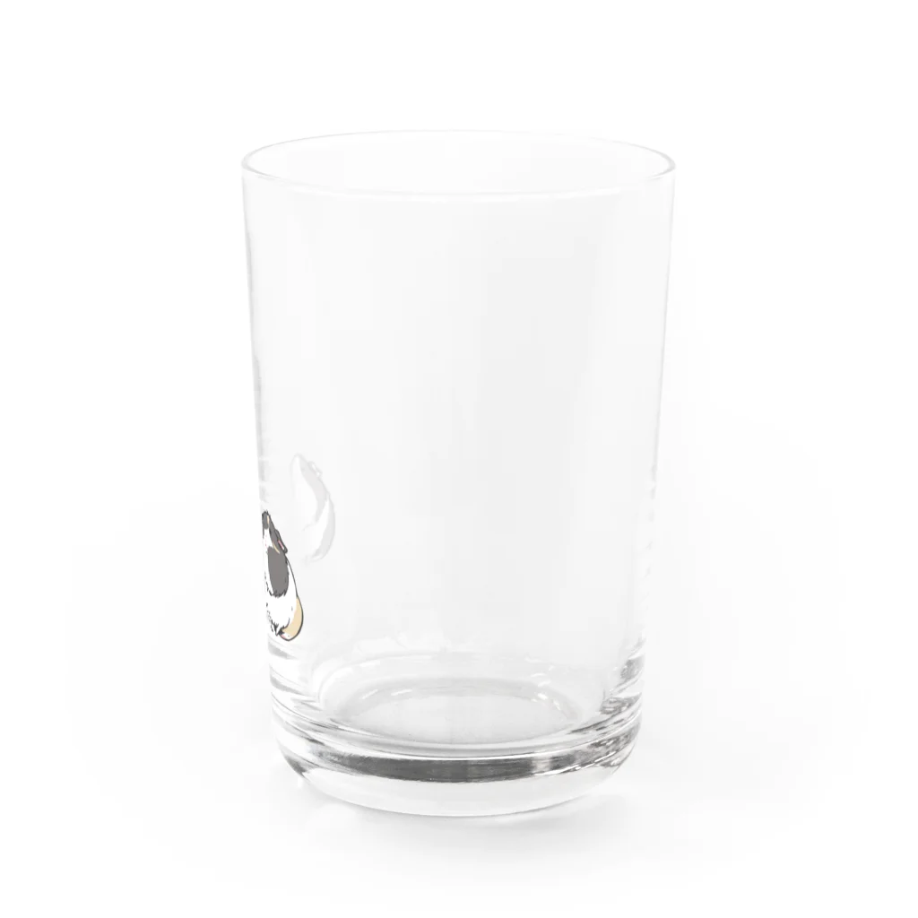 n_fderelicaのモルモットのごましおと伊達丸 Water Glass :right