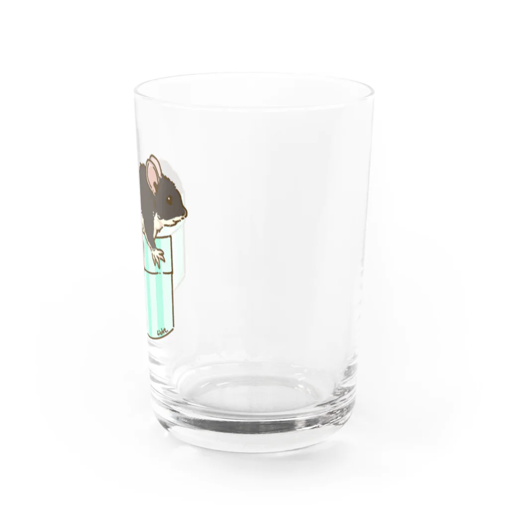 Lichtmuhleのポケットに入るハツカネズミちゃん01 Water Glass :right
