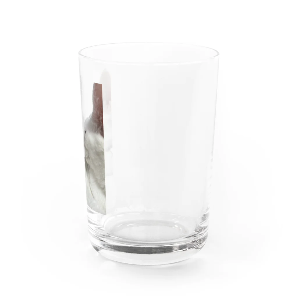 花鶴亀商店の鶴ちゃん＆亀 Water Glass :right