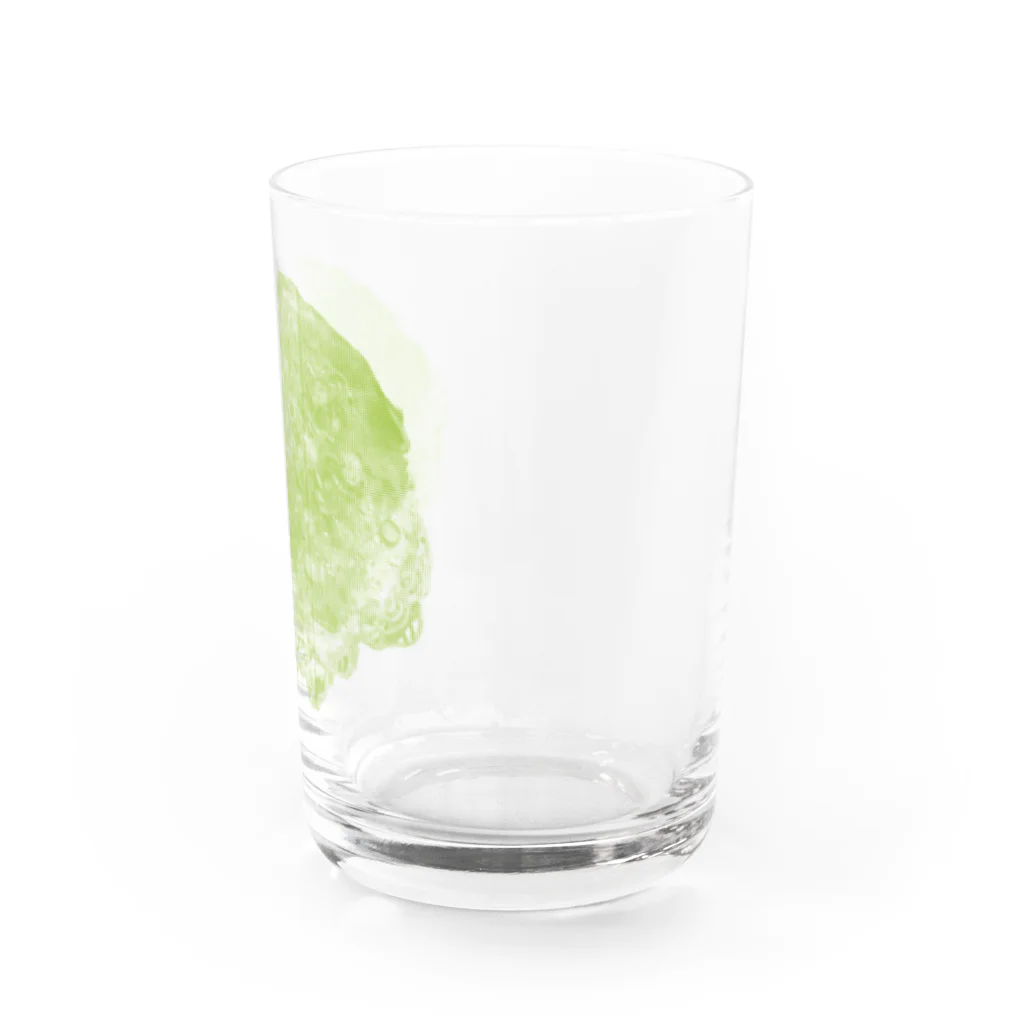お好み焼き女ちゃんの広島おこ │green Water Glass :right