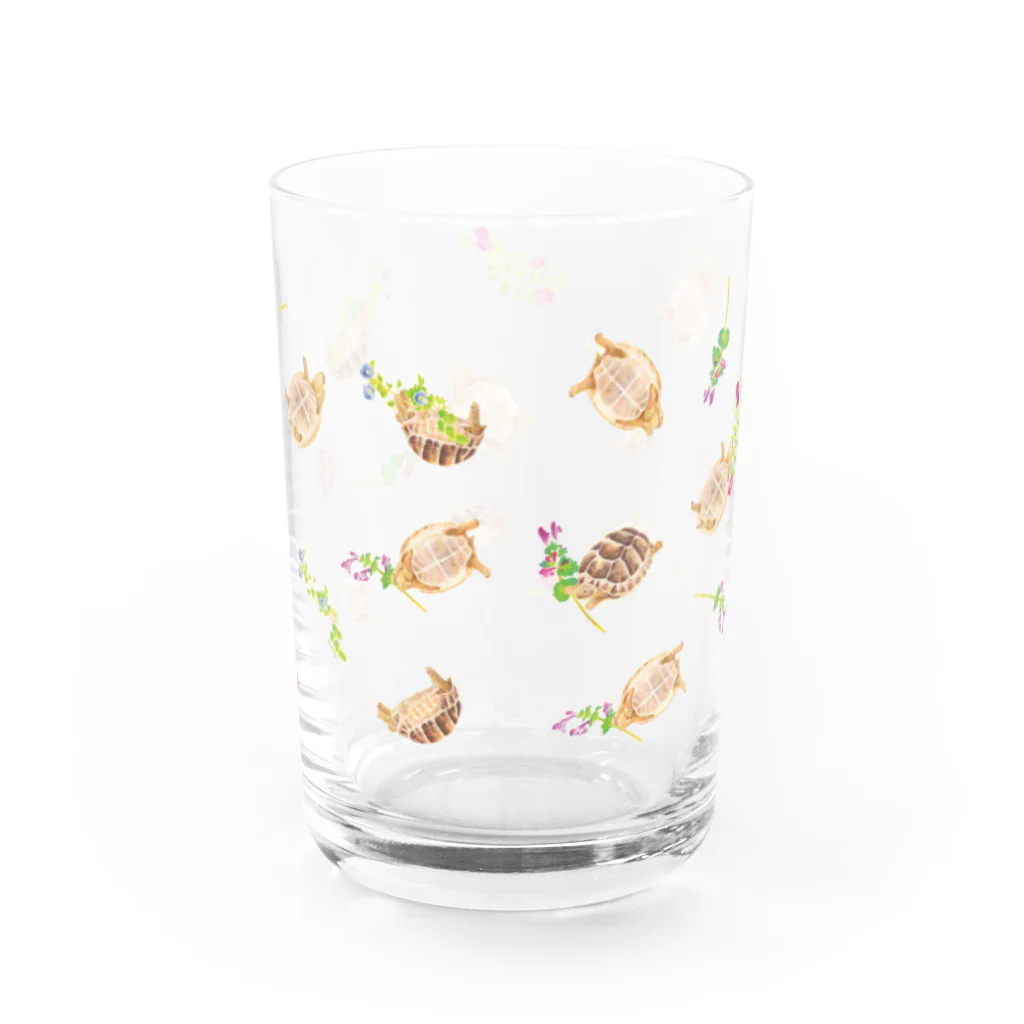 めろんぽっぷのお店だよの野の花とギリシャリクガメ Water Glass :right