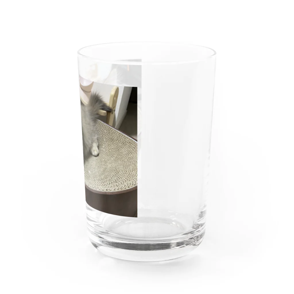 にゃんこの「めめたん」グッズのちいさかったころ Water Glass :right