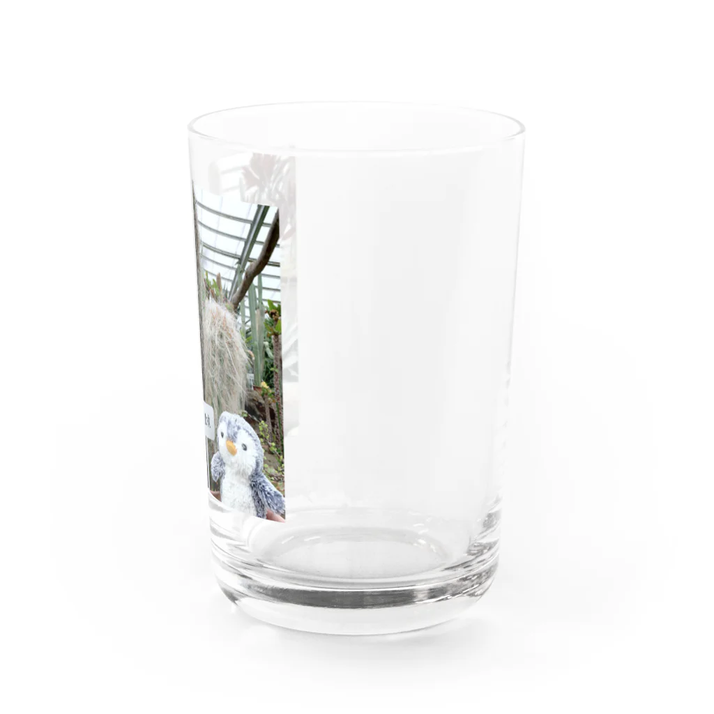 チャミコの店♡のぷっちょ★ライオン丸 Water Glass :right