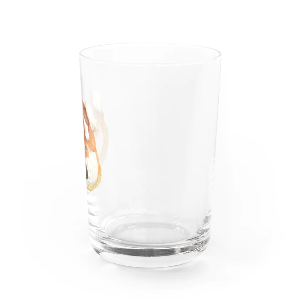 Maison terrierのシューナウザー Water Glass :right