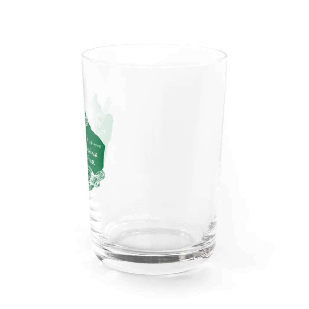 umigamekanのNPO法人 屋久島うみがめ館応援グッズ Water Glass :right