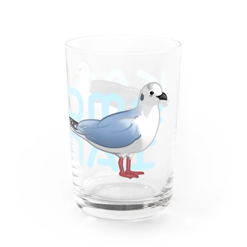 やちよ｜リアル鳥イラストのKAMOMEJYANAI～ズグロカモメさんとウミネコさん～ Water Glass :right