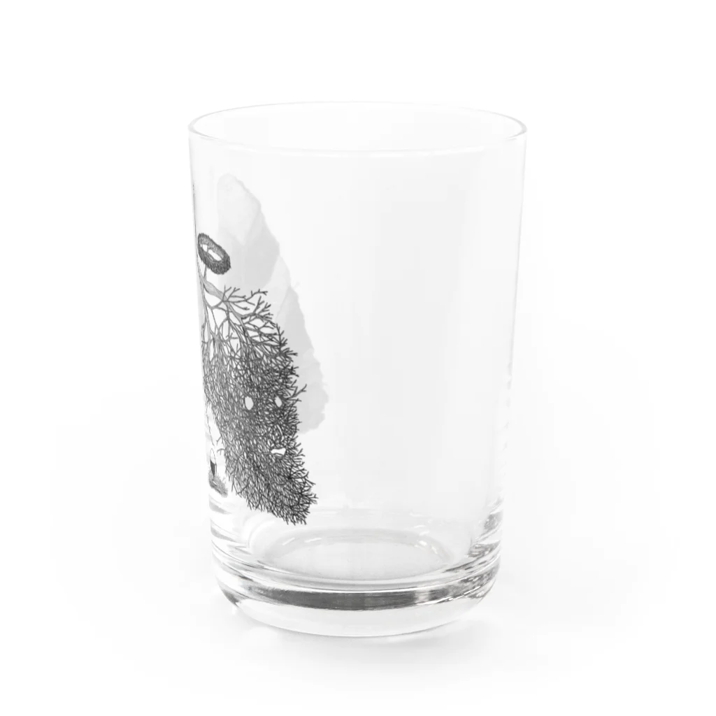 菩化鳥/ヴォケドリの「呼吸と巣」 Water Glass :right