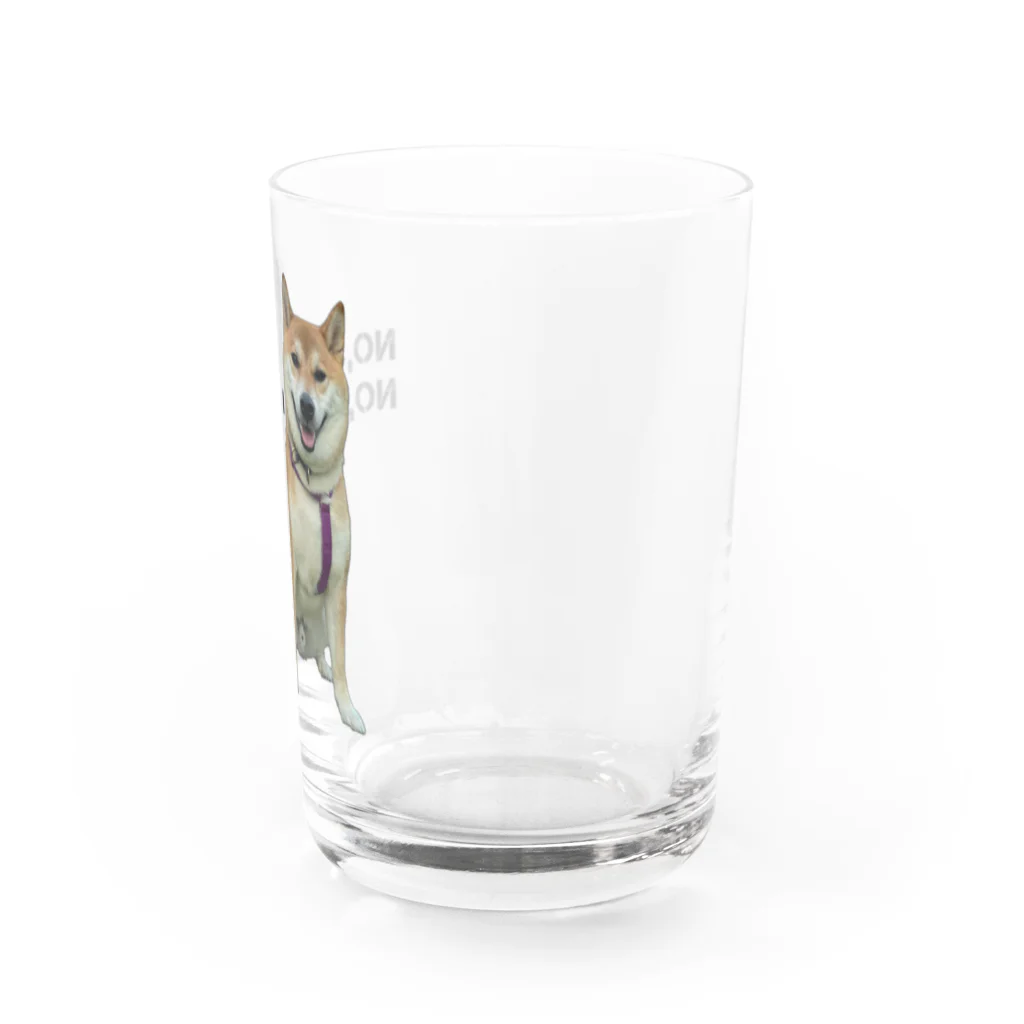 SHIBAOOOOOのNO,SHIBA NO,LIFE 柴生くん Water Glass :right