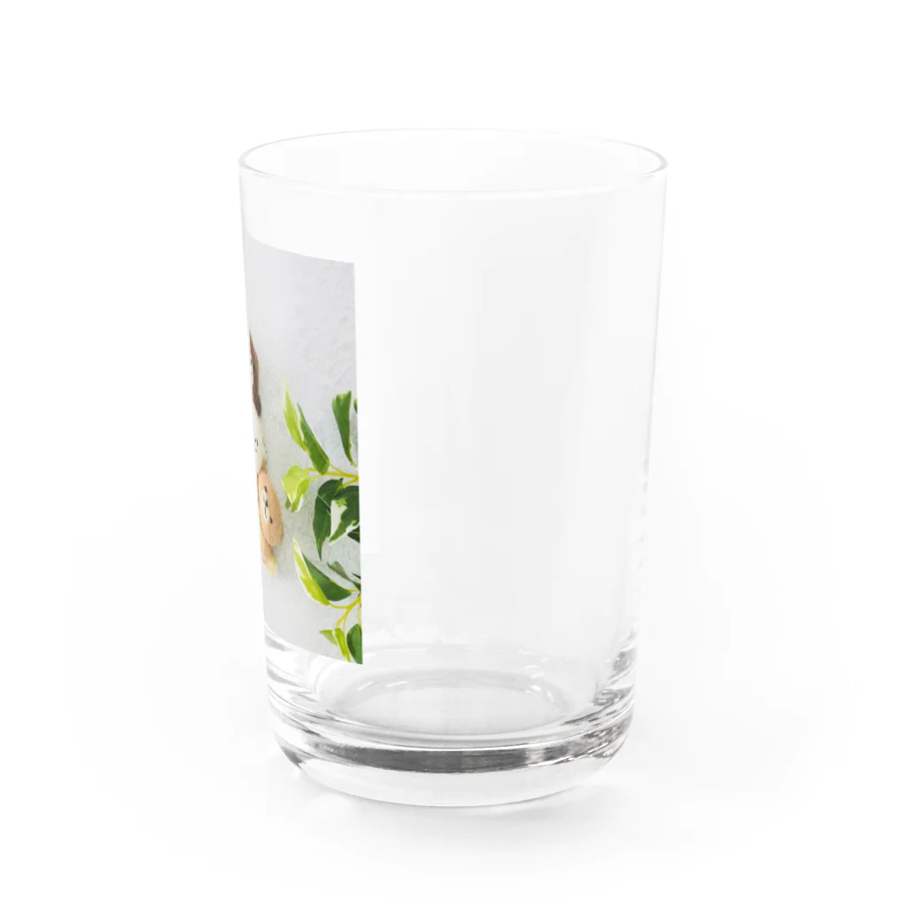 kumamia（くまみあ）のくまの3兄弟（三日月） Water Glass :right