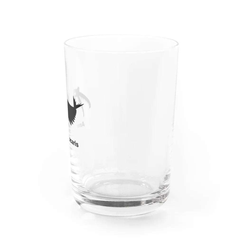 puikkoの古生物　アノマロカリス Water Glass :right