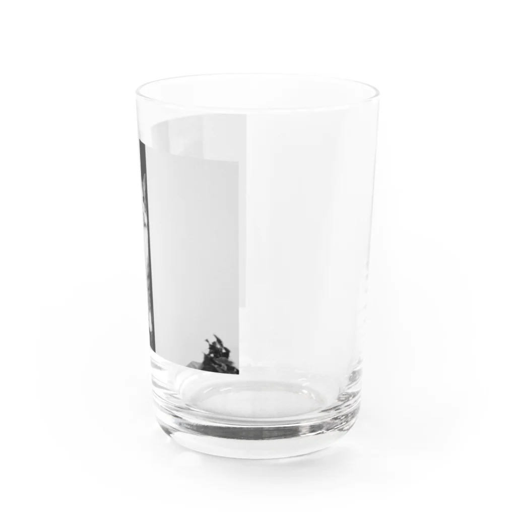 エモチル猫のゆず店長の実家猫押入れチルアウト Water Glass :right