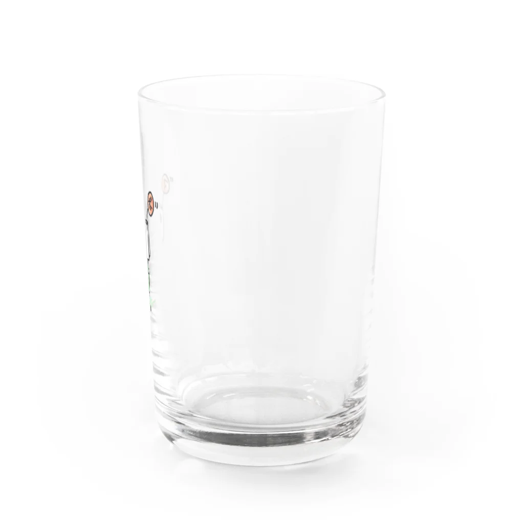 toyama_bo_のマボちゃん Water Glass :right