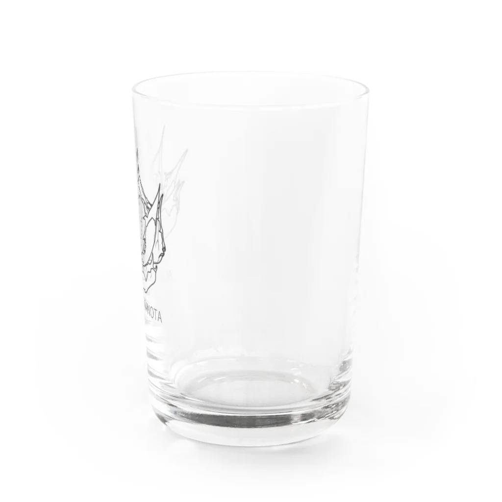 nrms0901のアガベ Water Glass :right