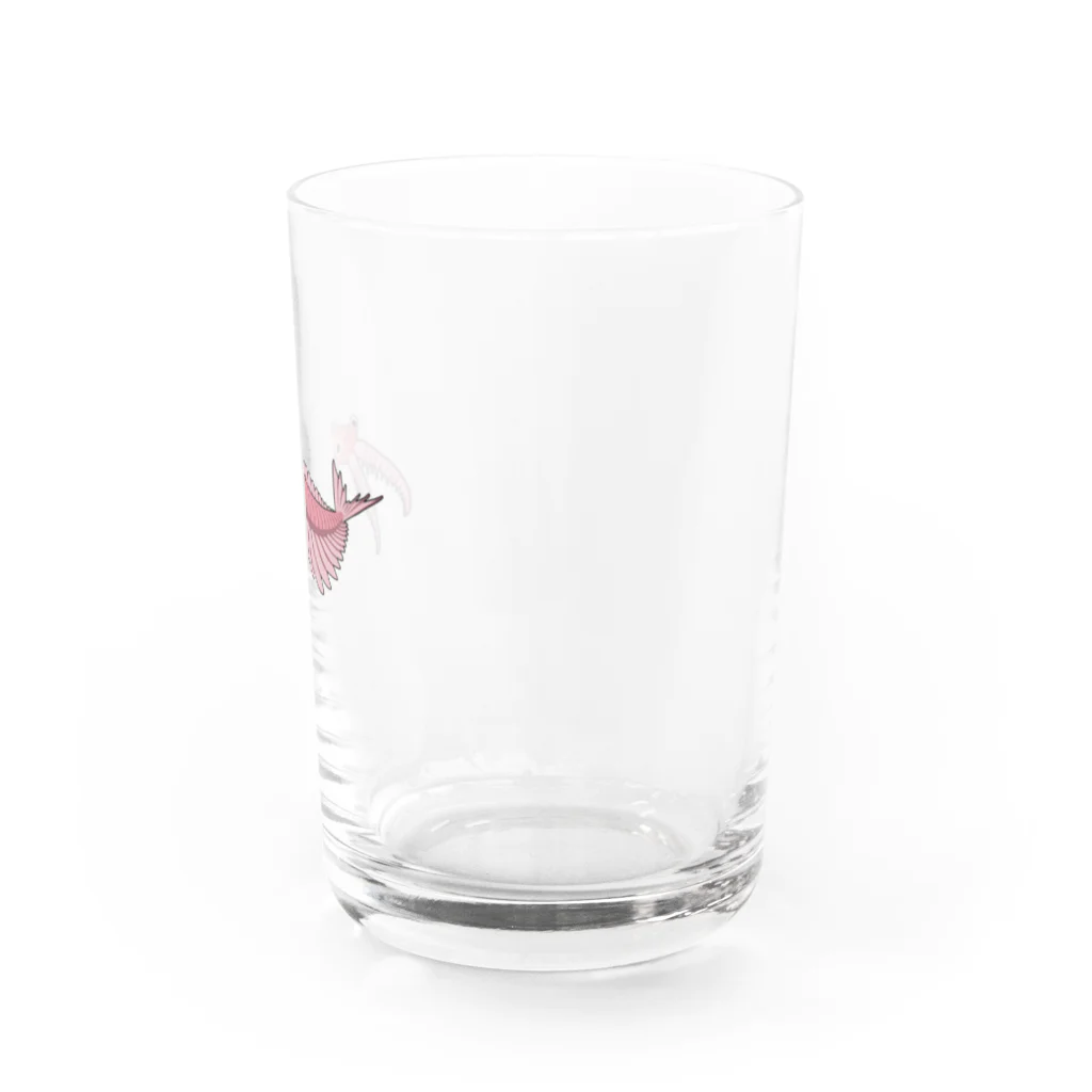 puikkoの古生物　アノマロカリス2 Water Glass :right