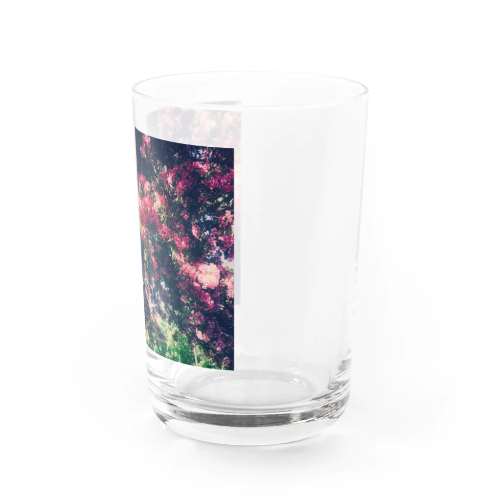 Let's Go for a Walkのromantic flower Water Glass :right