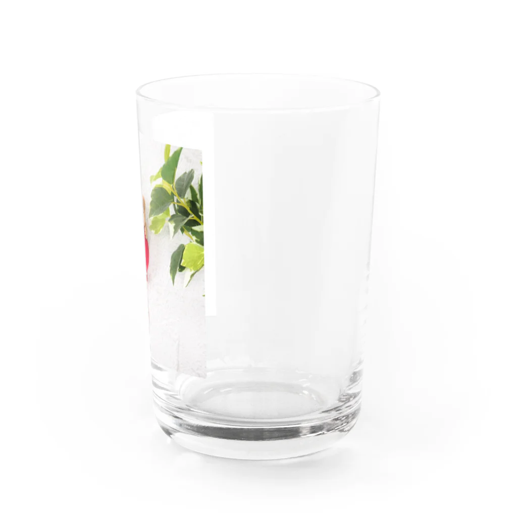 kumamia（くまみあ）のひょっこり！ふうせん（赤） Water Glass :right