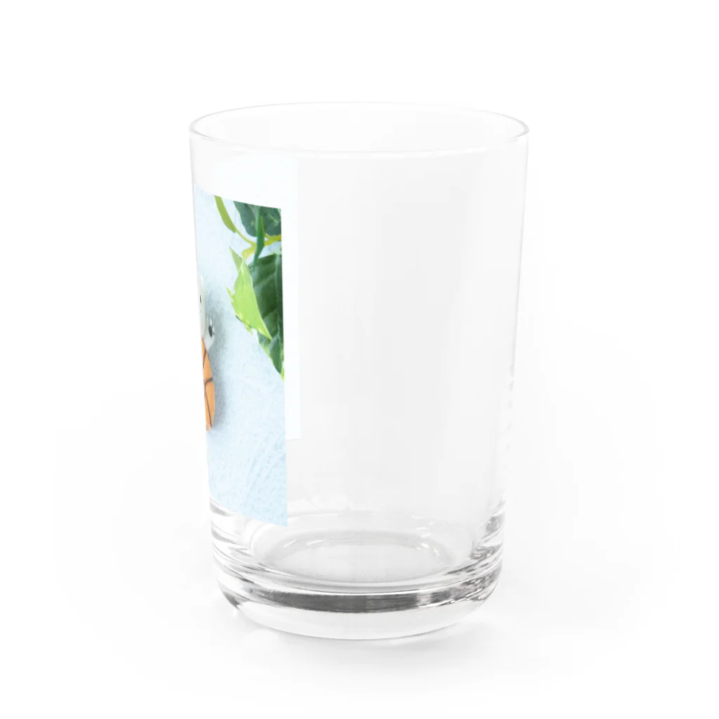 kumamia（くまみあ）のひょっこり！バスケットボール Water Glass :right