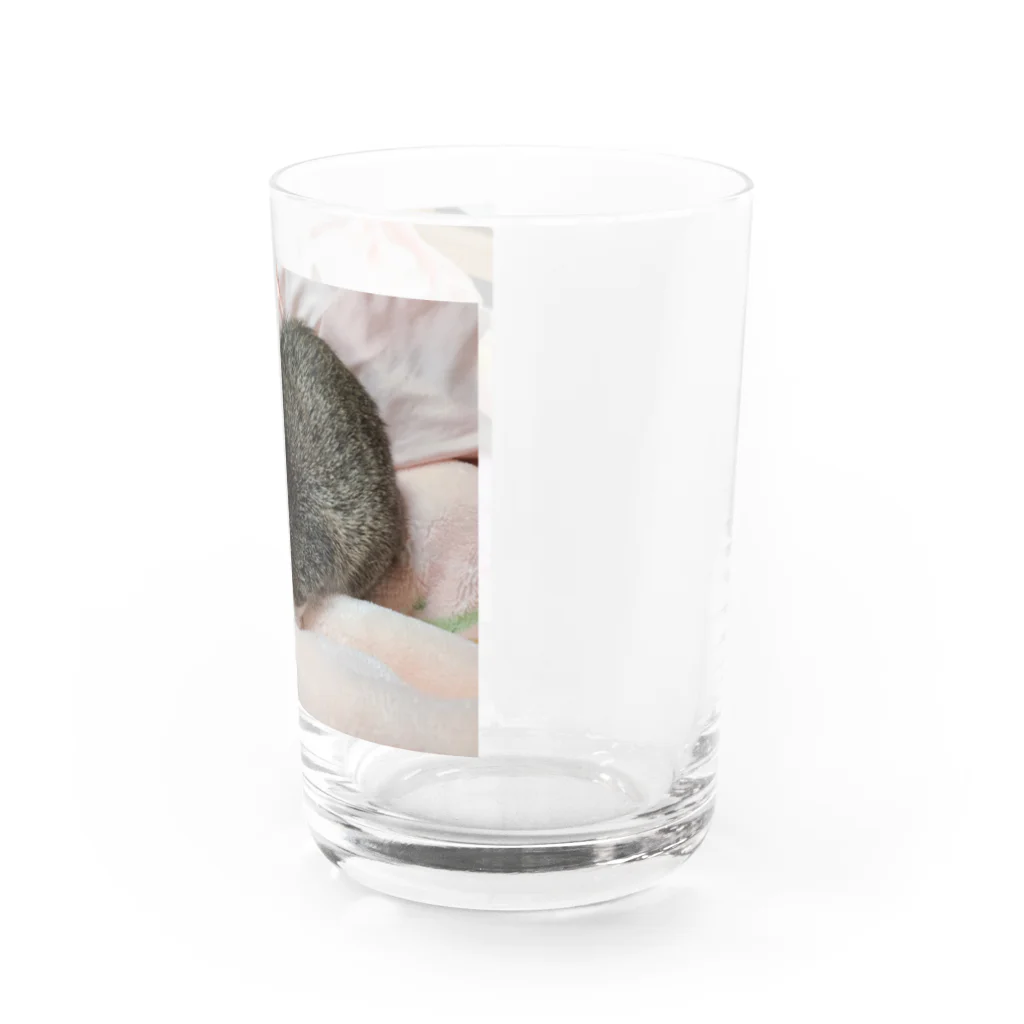 もふぐみ うちの子「とりゅふ」のとりゅふ Water Glass :right