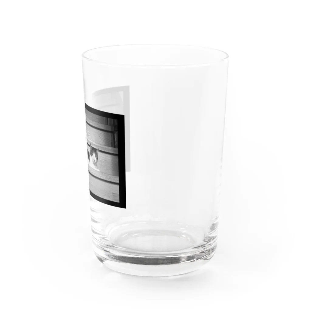 ねこのチャンのチャングラス Water Glass :right