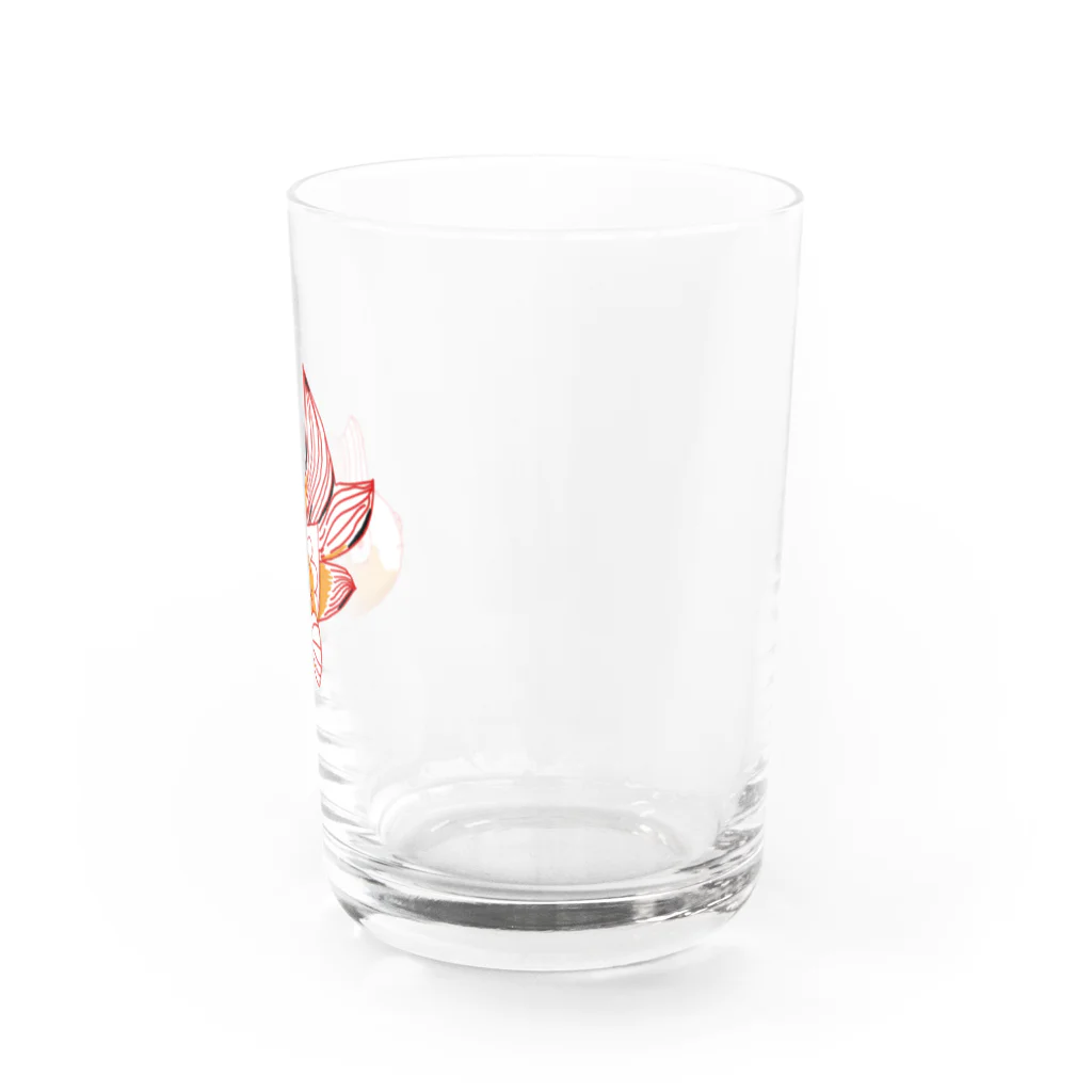 しぜんのグッズの出目金くん Water Glass :right