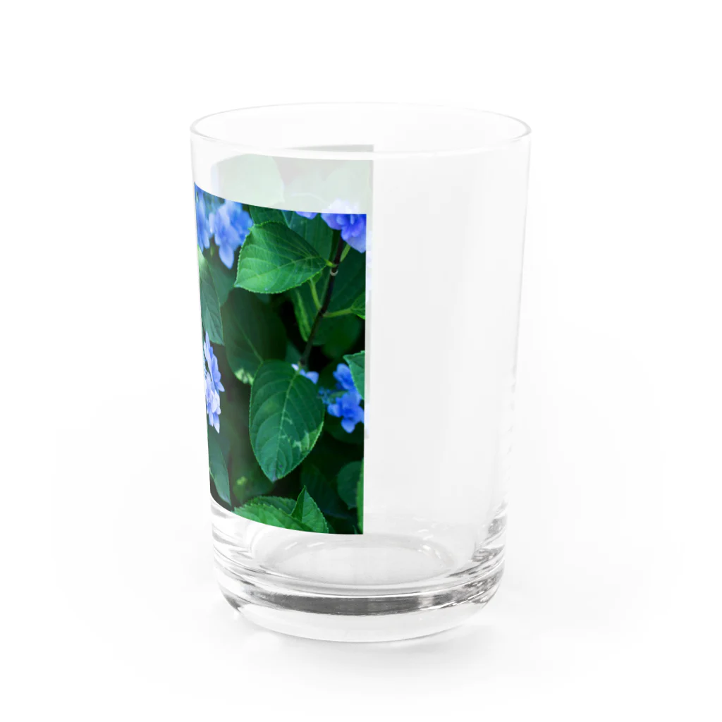 akane_art（茜音工房）の癒しの風景（アジサイ） Water Glass :right