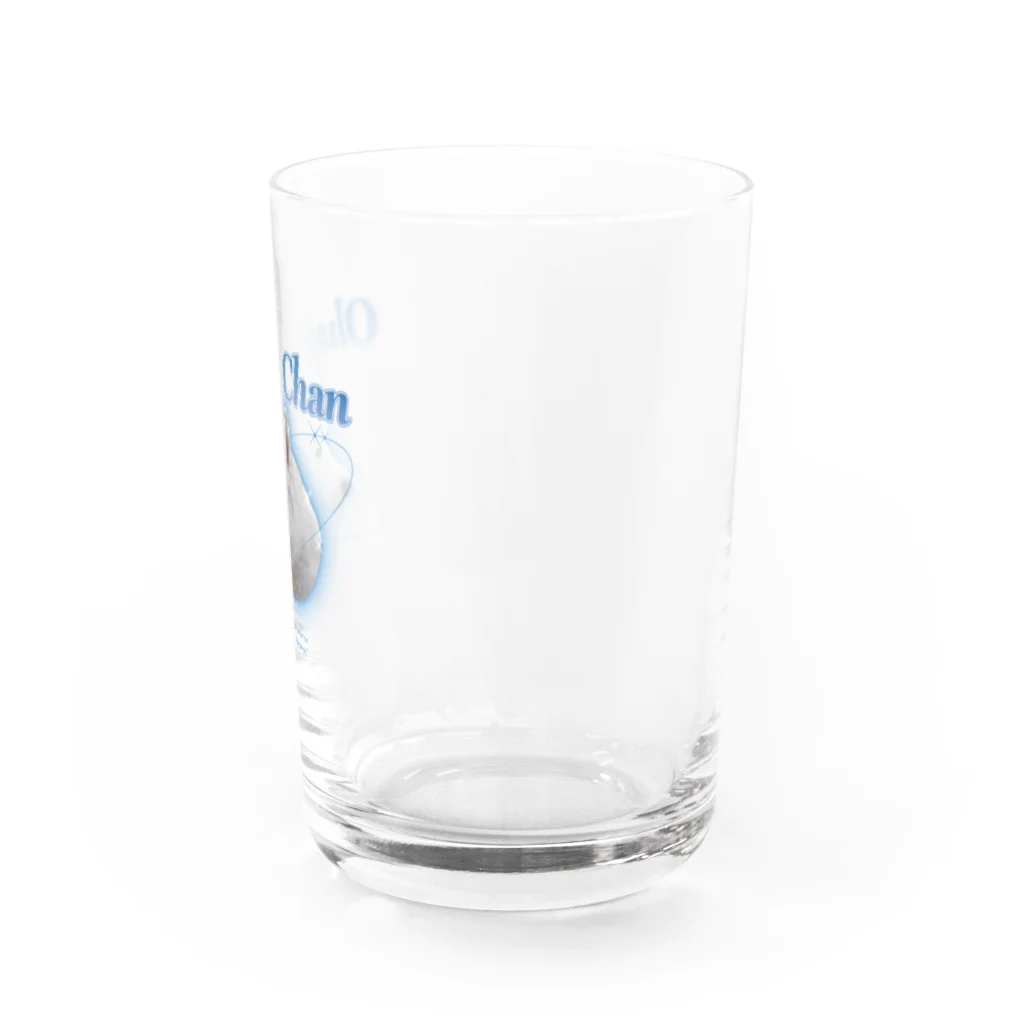 hasu-ohasの夏の爽やかおはぎちゃん Water Glass :right