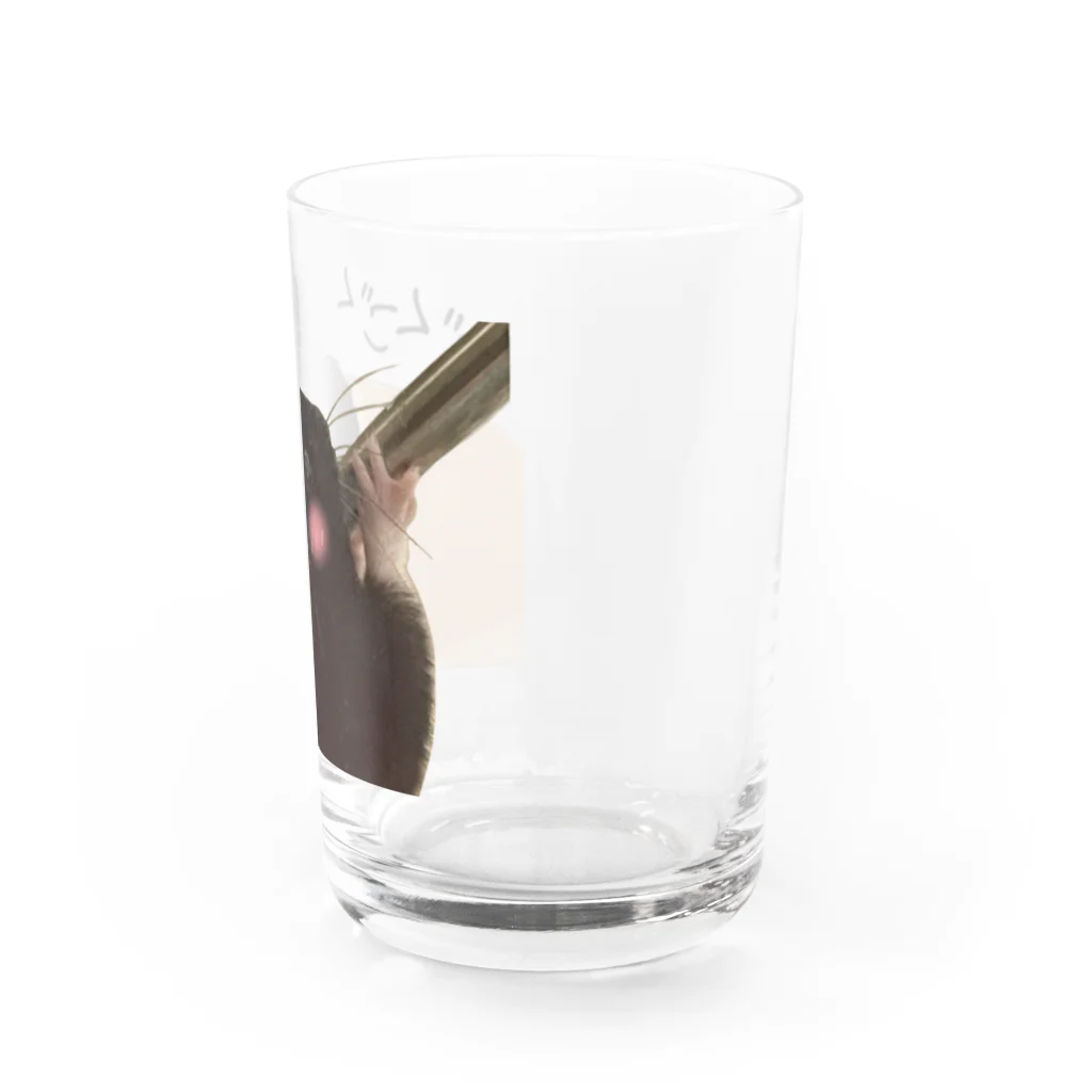 omoituki-shopのヤドカリハムスター Water Glass :right