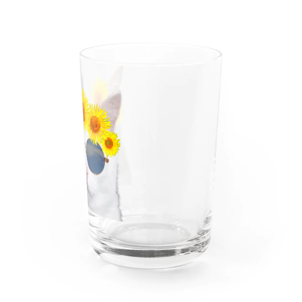 mechaの夏を満喫する猫　背景無し Water Glass :right