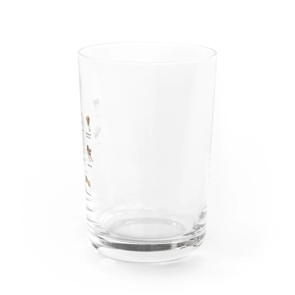 グミのみせのLOVEいぬ Water Glass :right