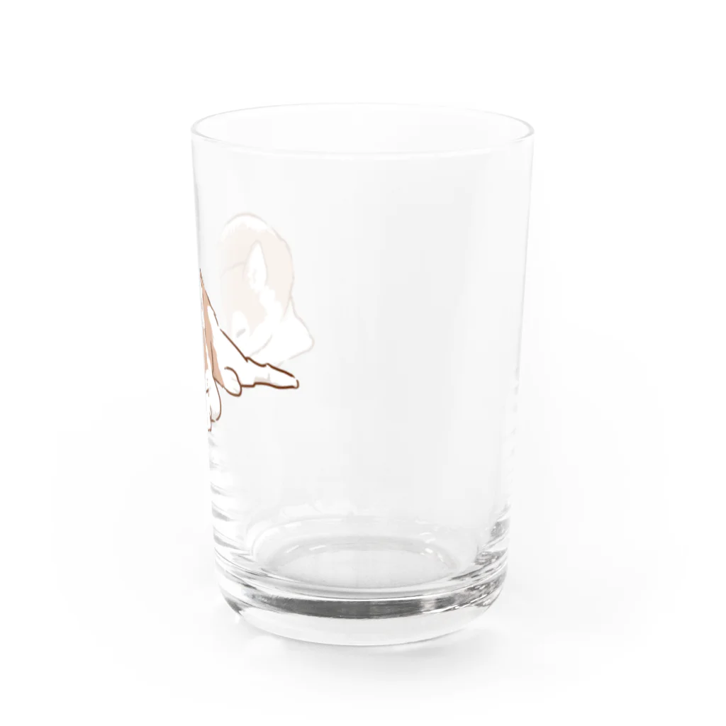 WANPU  by YUn.のチョコカラー　眠るハスキー　 Water Glass :right