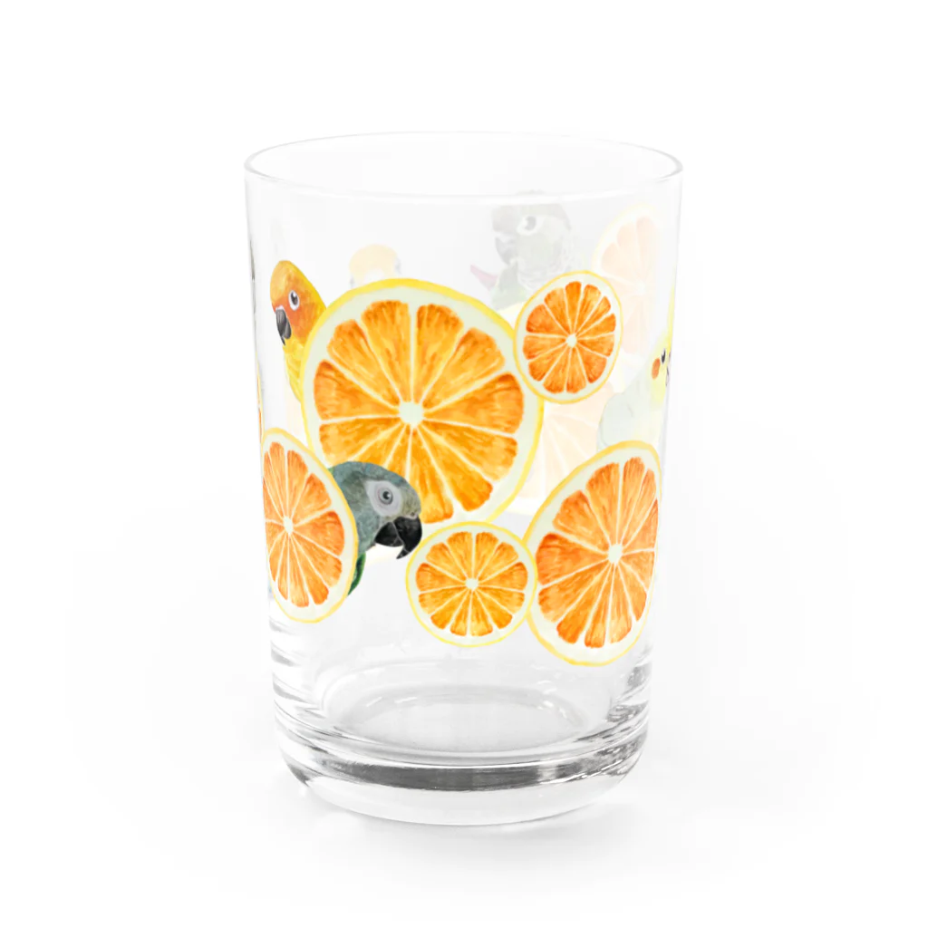 mariechan_koboの060 Citrus Hide and Seek Water Glass :right