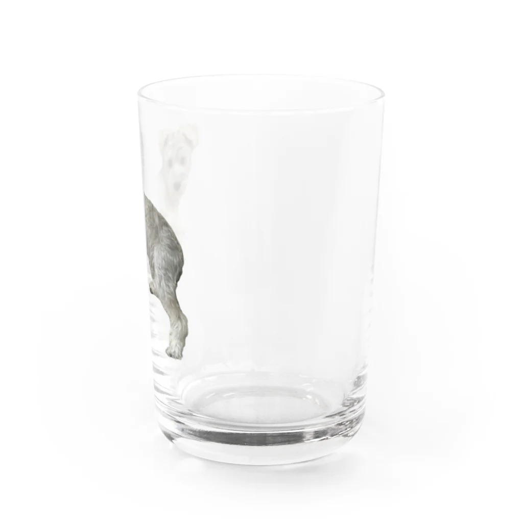 totemogoriraの服従わ〜くん Water Glass :right