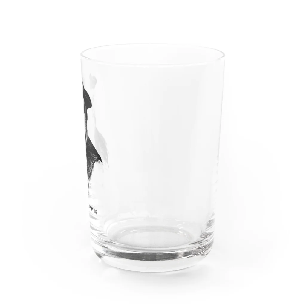 Nursery Rhymes  【アンティークデザインショップ】のノストラダムス Water Glass :right