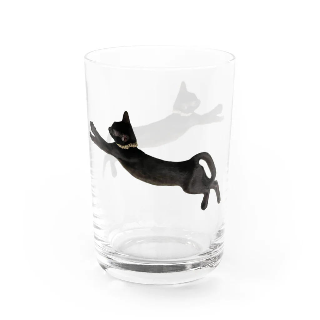 あきらのNOMA Water Glass :right