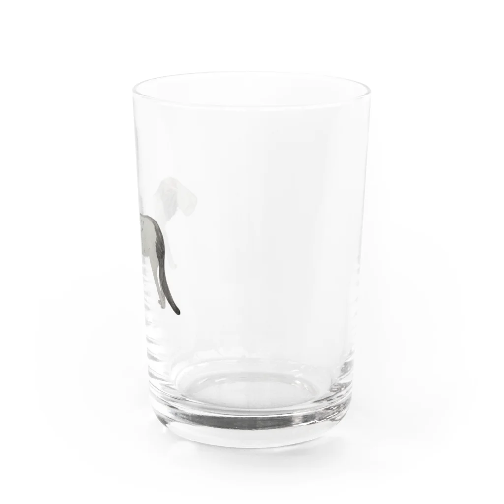 mi4179のLION Water Glass :right