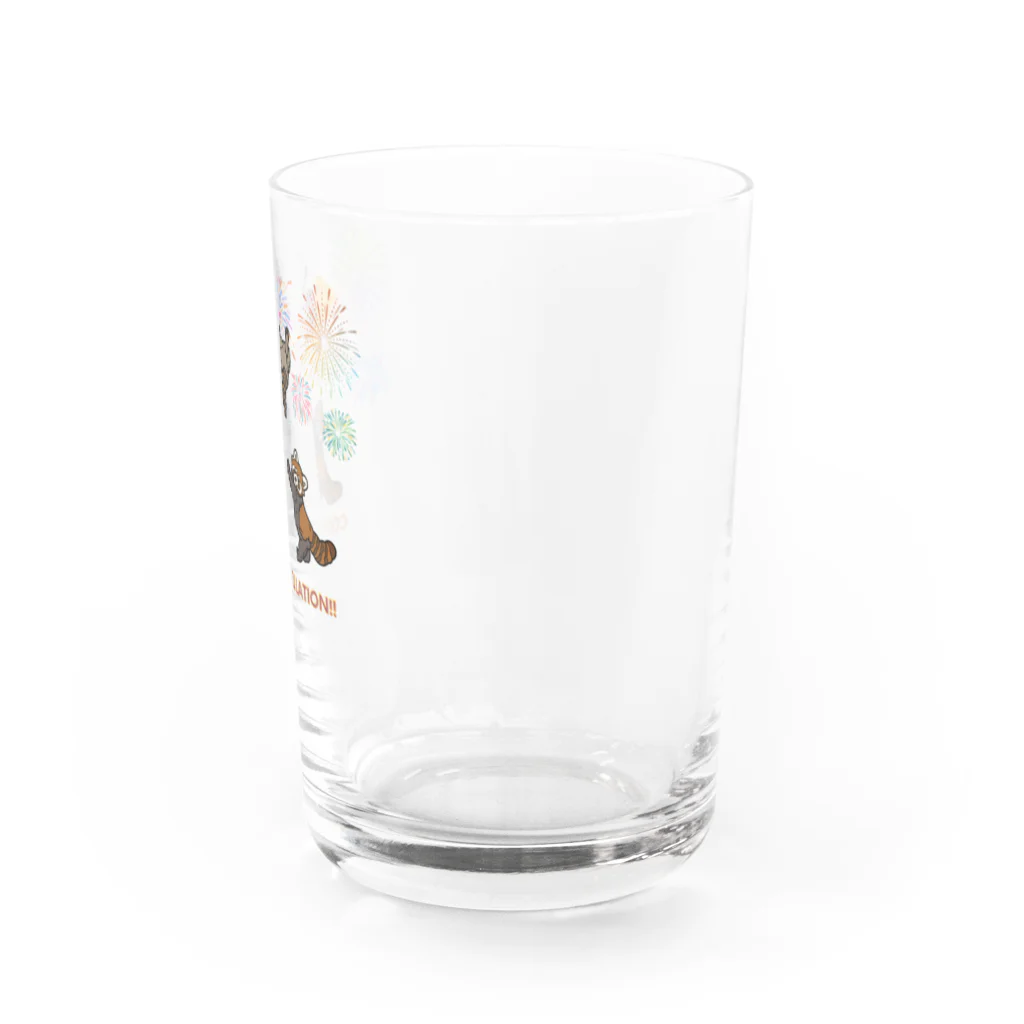 Sky00のアライグマおめでとうくん。 Water Glass :right