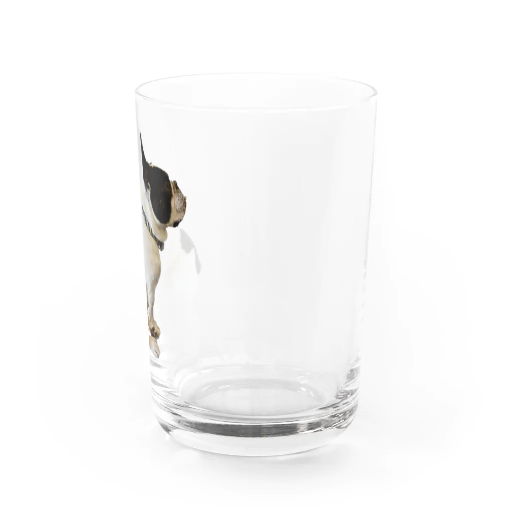 フレディのフレディ(ごはん待ち) Water Glass :right