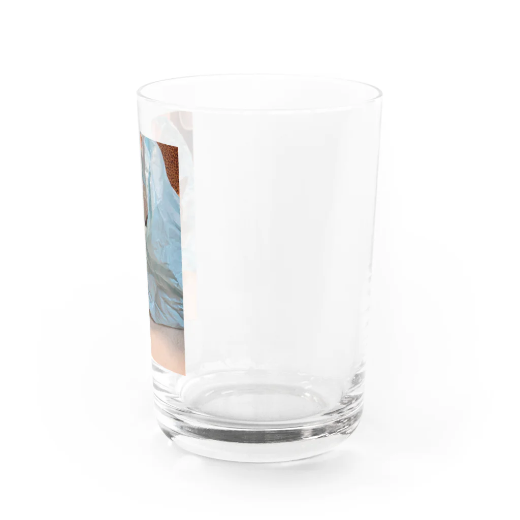 さくらパラダイスの袋大好きみぃー子さん Water Glass :right