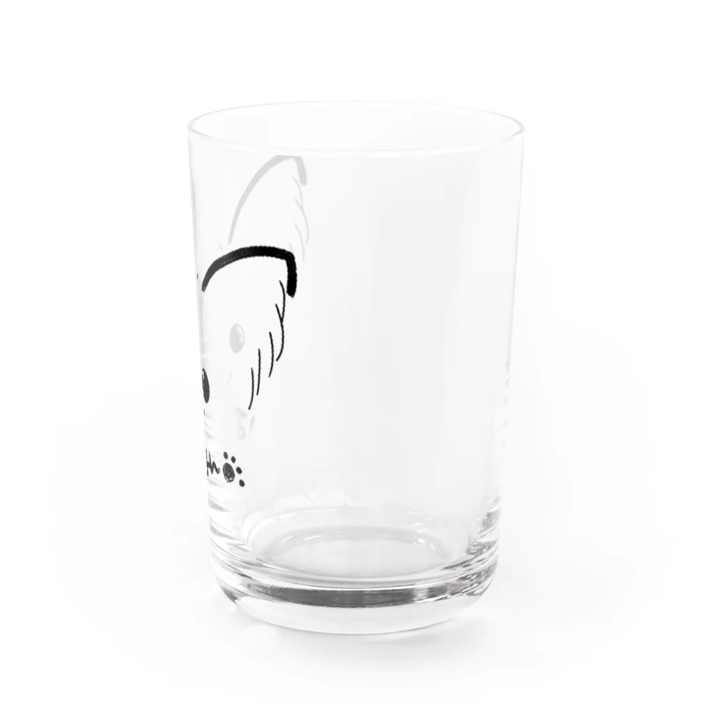 merongのぱぴよん♡ Water Glass :right