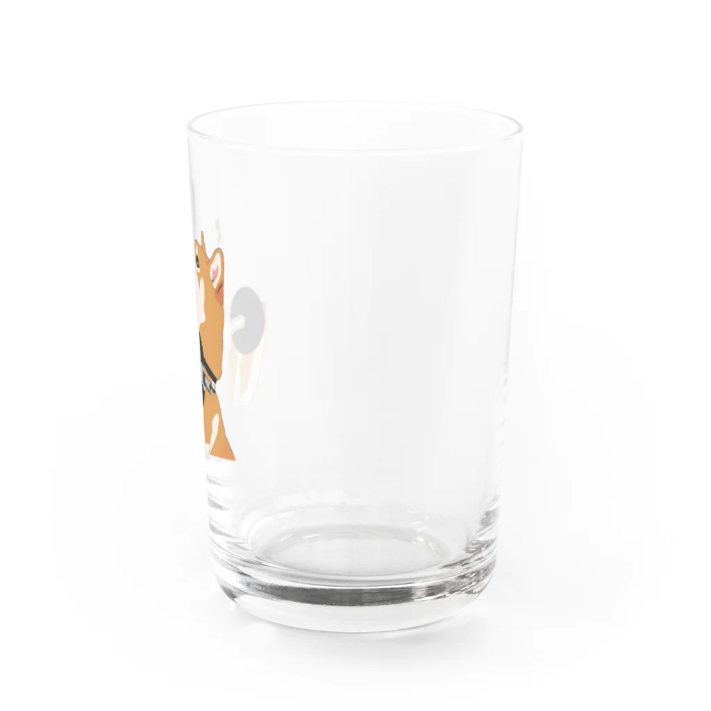 パンプアップ柴Hachiのパンプアップ柴Hachi Water Glass :right