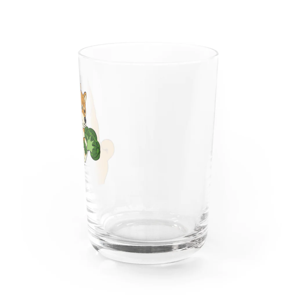 パンプアップ柴Hachiのパンプアップ柴Hachi（ブロッコリーver） Water Glass :right