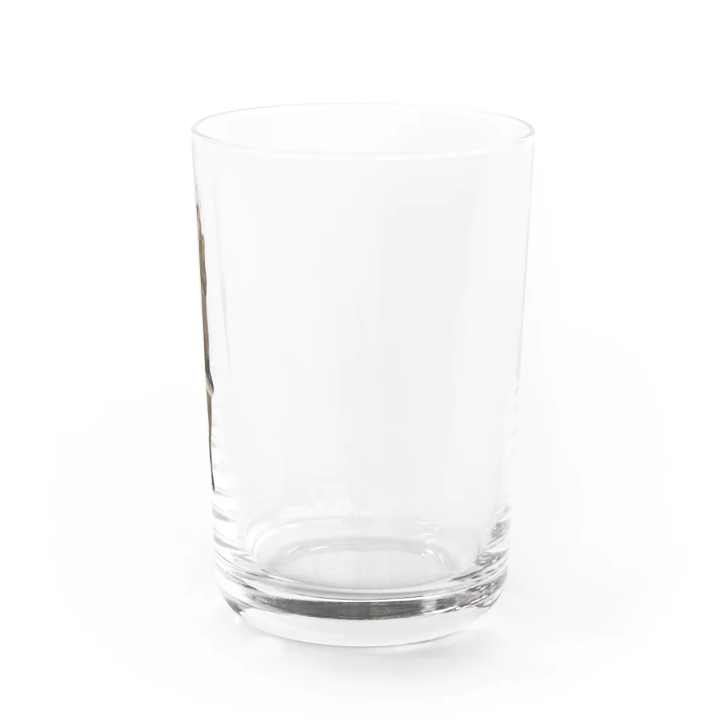 QDAのQAMALくん Water Glass :right