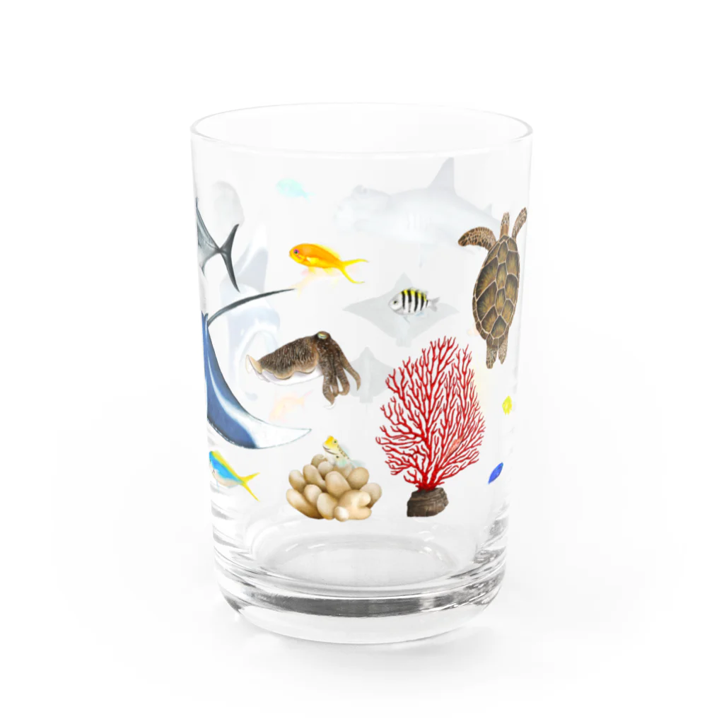 uminomadoの八重山の海の中 Water Glass :right