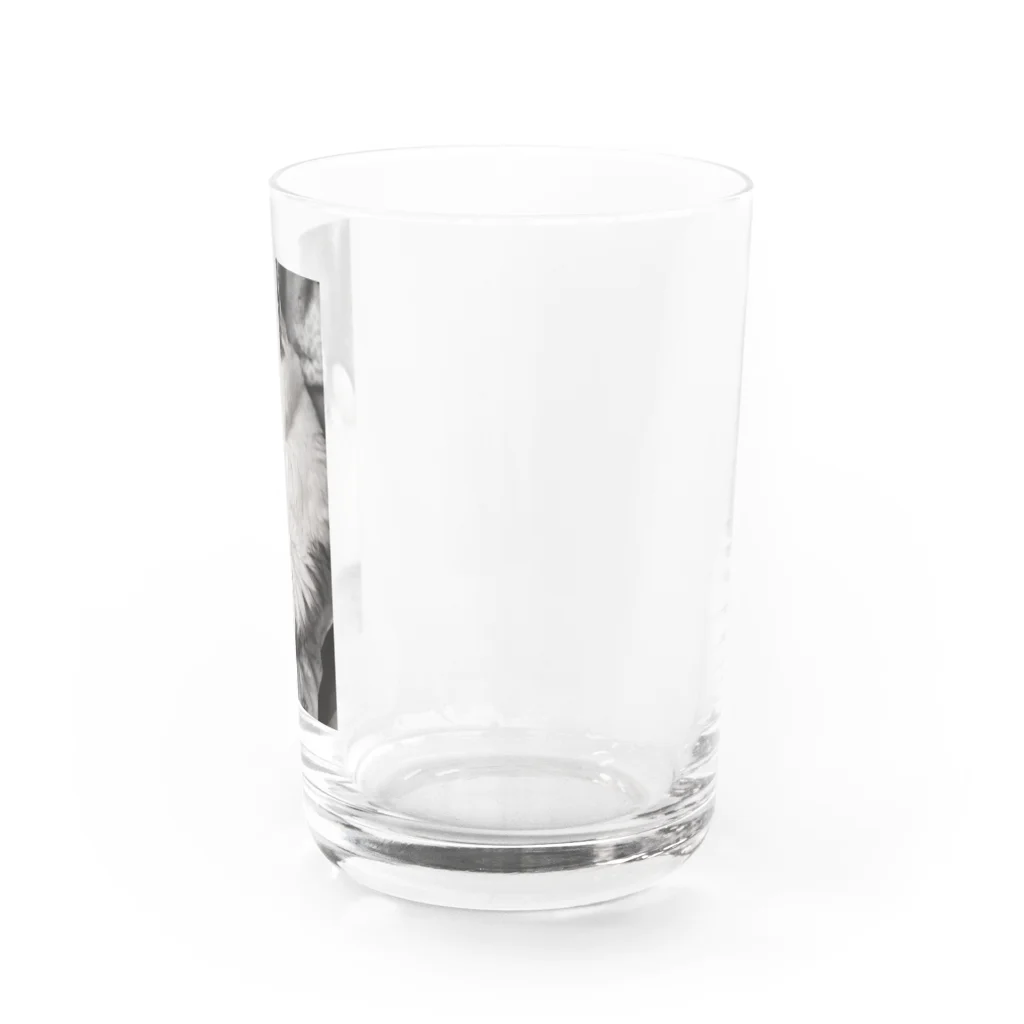 KAZU SHOPの可愛い猫のお昼寝　癒し Water Glass :right