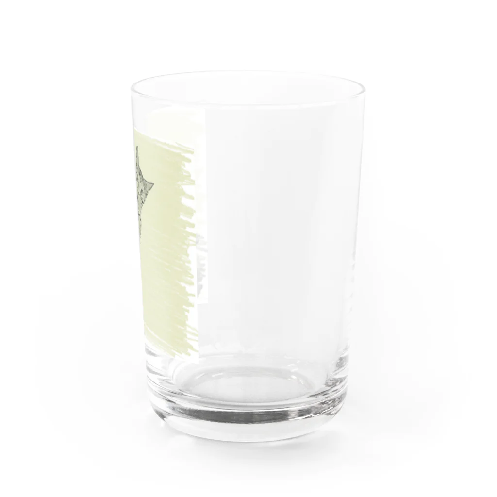 コハクのカーテンレールから見下ろすコハク Water Glass :right