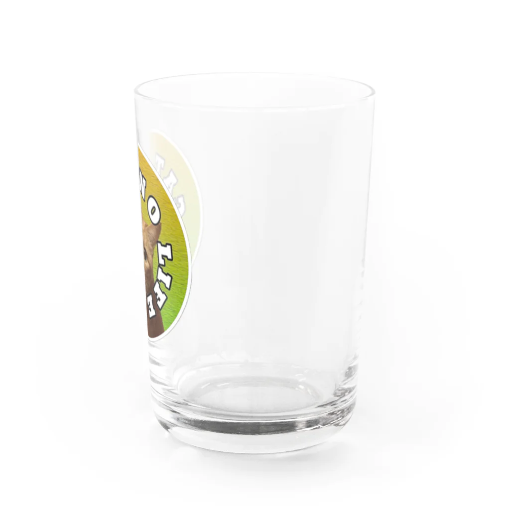 SENchanの専ちゃんグッズ Water Glass :right