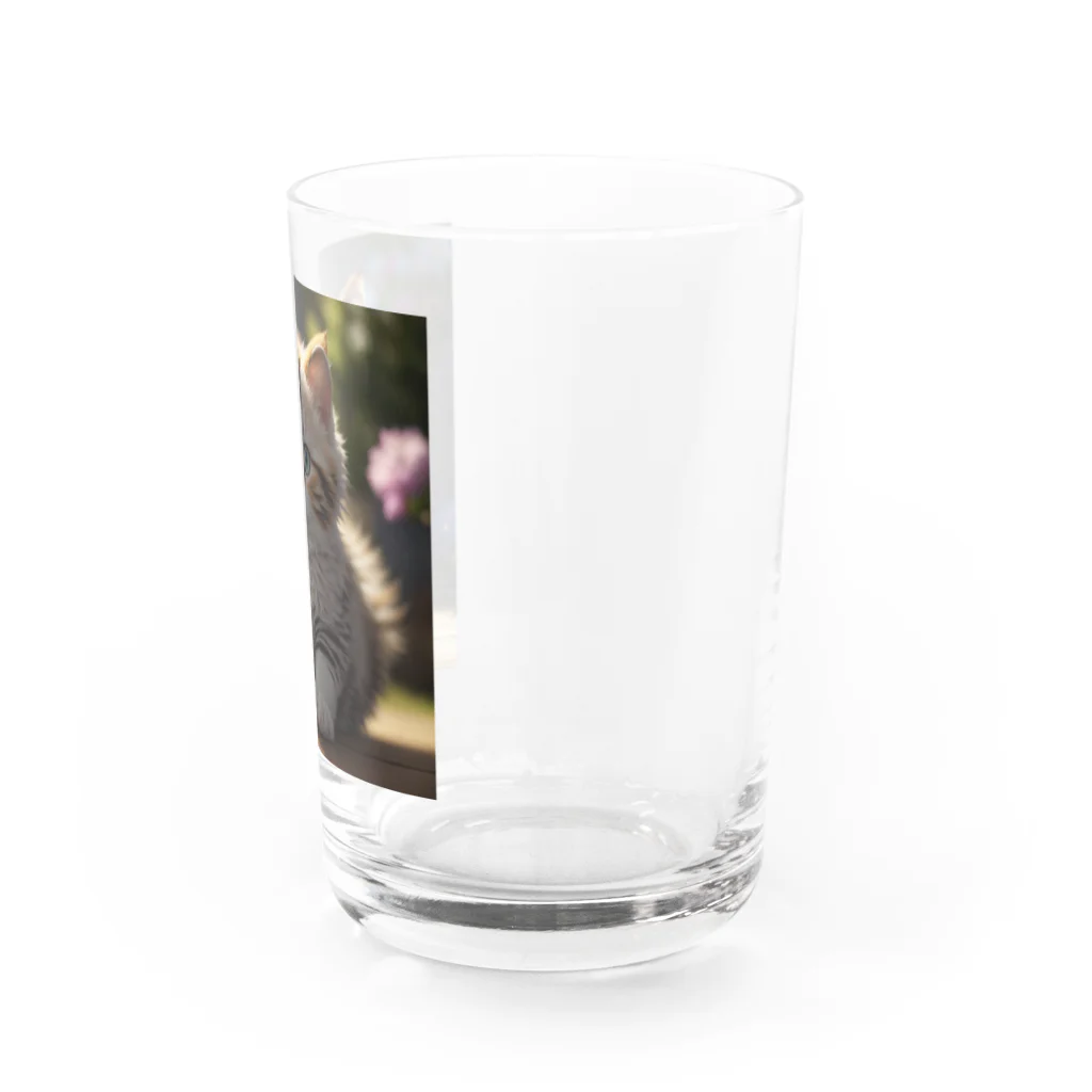 moonshine_fukurouの愛くるしい猫目線 Water Glass :right